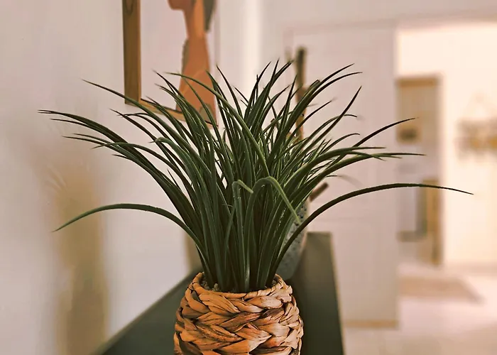 דירה Oasis Parque 2 פורטימאו