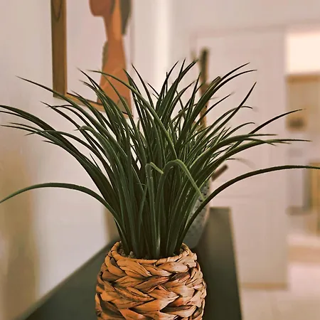 Апартаменты Oasis Parque 2 Портиман